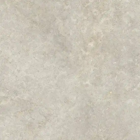 Ragno Richmond RCDT Vloertegel 600X600 Taupe 8,5mm Mat Ret.R10 Uitverkoop