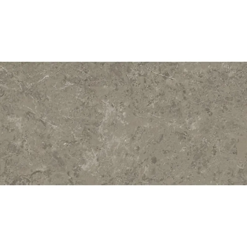 Bestseller Atlas Concorde Marvel Meraviglia AJHW vloertegel 60x120cm 9mm glans ret.grigio eleg.lap.