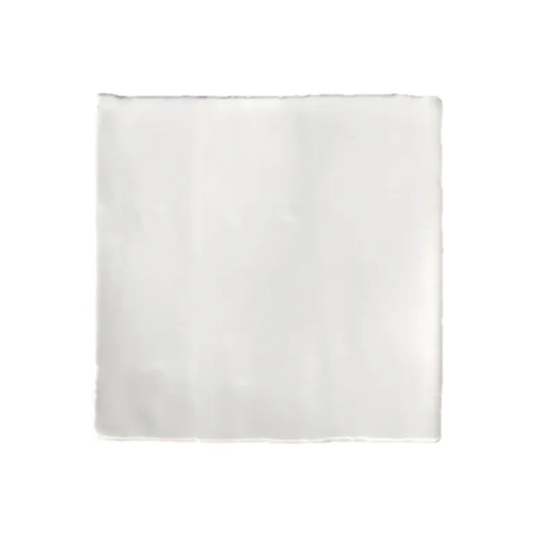 Must-Have Terre d'Azur Porto Tegel 10x10cm Grijs F155