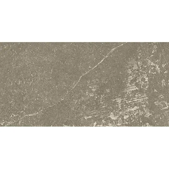 Finale Uitverkoop Beste Koop Harmony Vloertegel 300X600 Taupe 10mm Mat Ret.R10