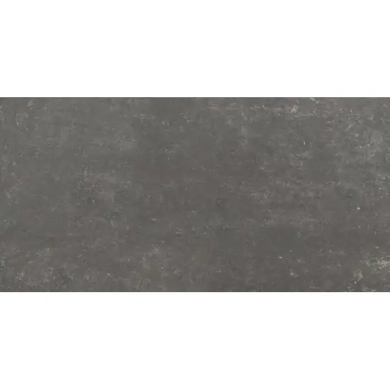 Rechtstreeks Van De Fabrikant Emil Chateau EFL0 Vloertegel 300X600 Noir 9,5mm Mat Ret.R9,5