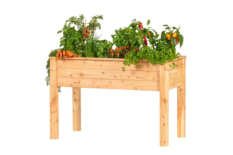 Verhoogde moestuinbak, lariks B120 x D60 x H80 cm Actieprijs