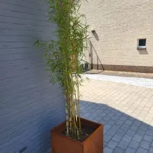 Premium Vierkante plantenbank cortenstaal 40x40x40cm