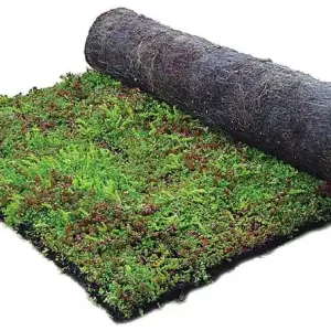 Sedummixmat Koopje