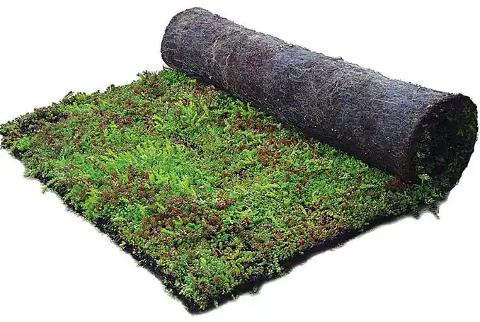 Sedummixmat Koopje