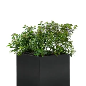 Flitsaanbieding Bloembak Mohawk, zwart gepoedercoat staal 50 x 50 x 50cm