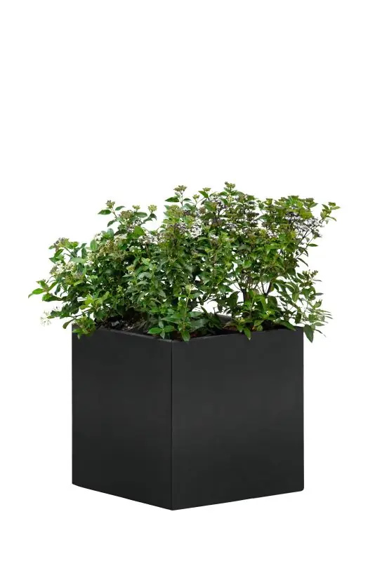 Flitsaanbieding Bloembak Mohawk, zwart gepoedercoat staal 50 x 50 x 50cm
