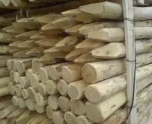 Robinia paal 10/12 250cm Superprijs