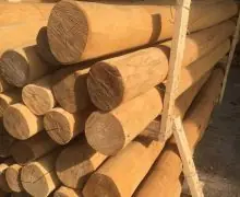 Robinia spintvrij geschuurd 10/12 400cm Alleen Vandaag