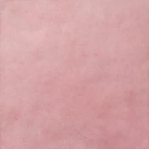 Hoge Kwaliteit Tegels handvorm Antrisa Rose Mallow 13,2x13,2cm