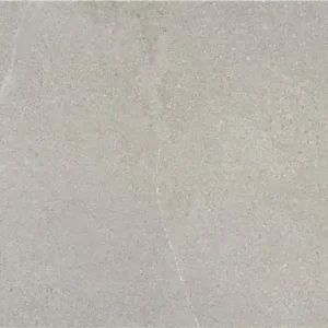 Tegels Dallstone Grey 30x60cm Flitsaanbieding