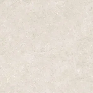 Tijdelijk Beschikbaar Tegels Dance Bone 60x120cm