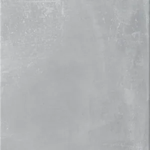 Tegels downtown fog grijs DW16 30x60 cm Alleen Vandaag