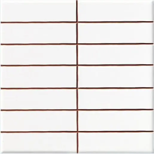 Hoge Kwaliteit Tegels Precorte wit glans 2,5x10 (20x20) cm (sample)
