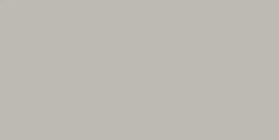 Hoge Kwaliteit Tegels Project Grey Glans 30x60cm