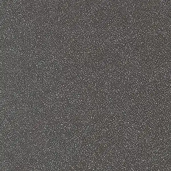 Koop Vandaag Tegels Toro Granito 69 SR7 Mat Rio Negro 19,8x19,8cm R11