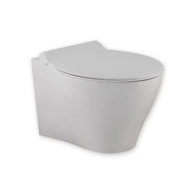 Wandtoilet design volcano rimmout inclusief softclosebril Favoriet