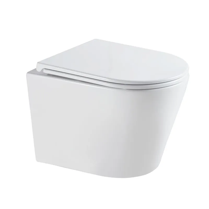 Wandtoilet Turin wit rimless met bidet incl. solfclose zitting Nu Kopen