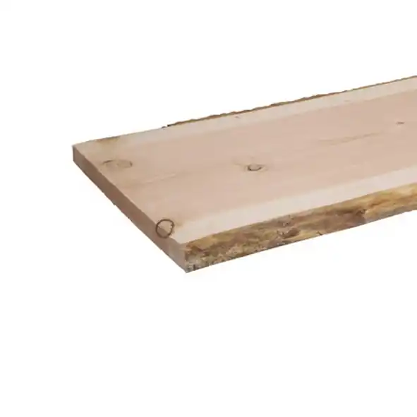 Gecertificeerd Douglas boomschors / schaaldeel geschaafd 30×350/450 mm 250 cm