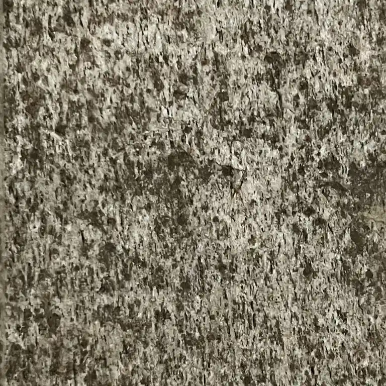 Premium PARTIJ Natural Stone Veneer Golden