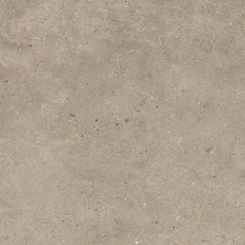 Fossil Taupe Favoriet