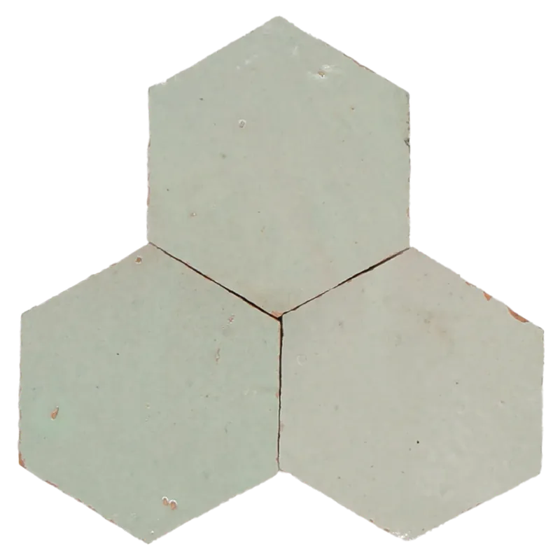 Direct Verzonden Zellige Vert Clair Hexagone