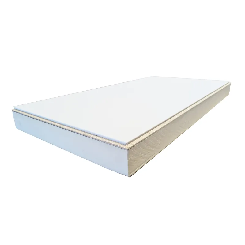Pir 60mm + Plafondpaneel Elit Stucwit 1200x600x12mm – Rd:2.70 (=0,72m²) Nu Kopen