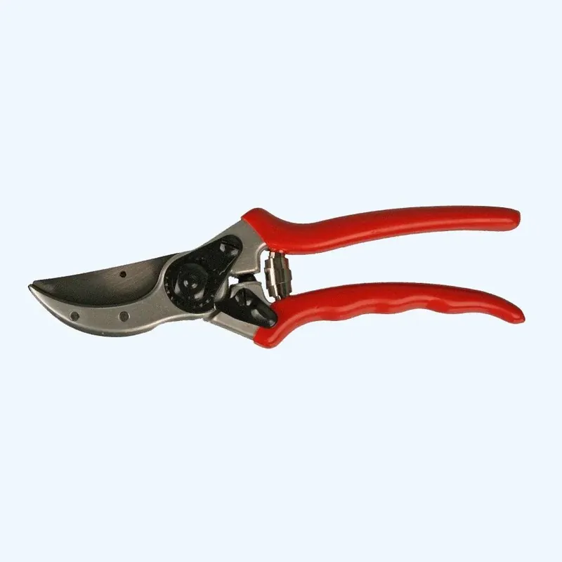 Snoeischaar 20 mm voor onderhoud in de tuin Must-Have