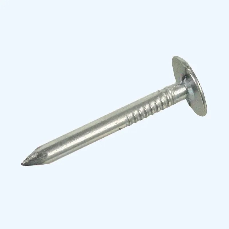 Asfaltnagels 3,0 x 25 mm 5 kg online kopen Lage Kosten