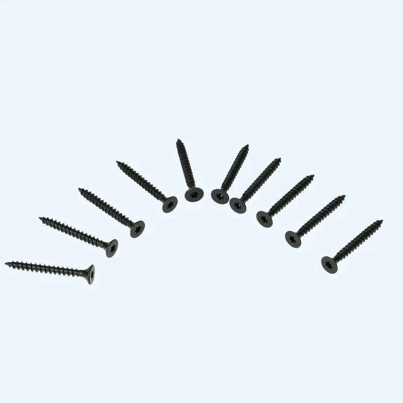 Superprijs Zwarte schroef scharnieren RVS, Torx 4,5x40mm