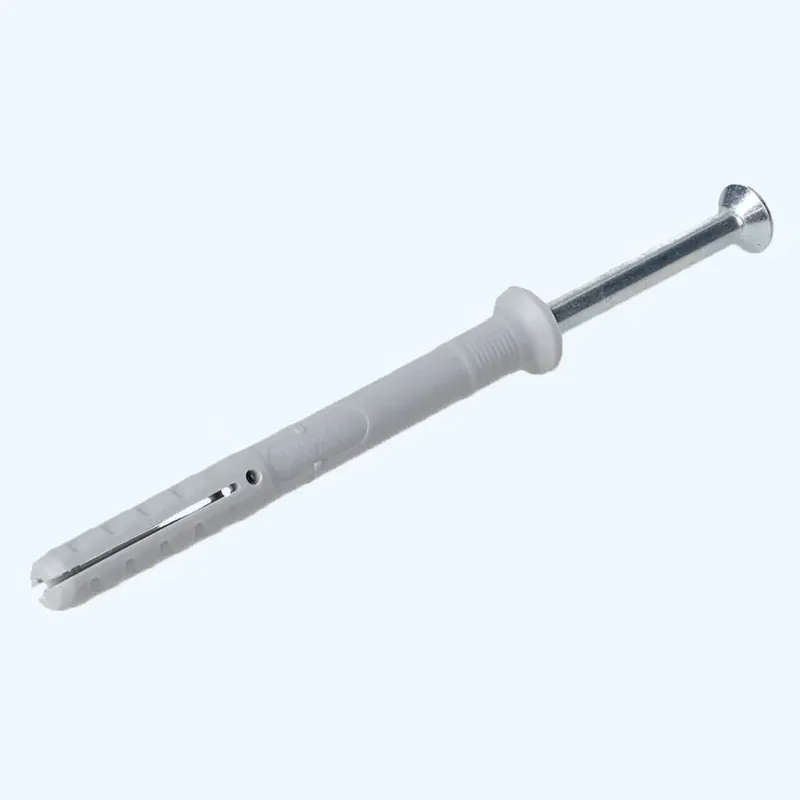 Veilige Betaling Fischer Slagpluggen M6 x 60 mm | EcoTools.nl