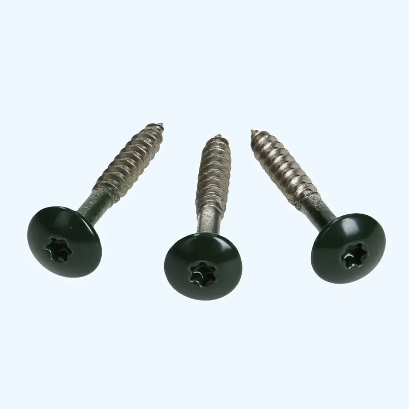 Exclusieve Aanbieding Kleurkopschroeven 4,8x38 mm RAL 6009 kopen
