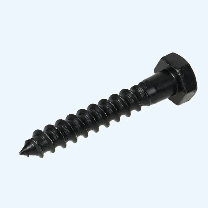 Shop Nu 25 stuks houtdraadbout 8 x 50 Zwart