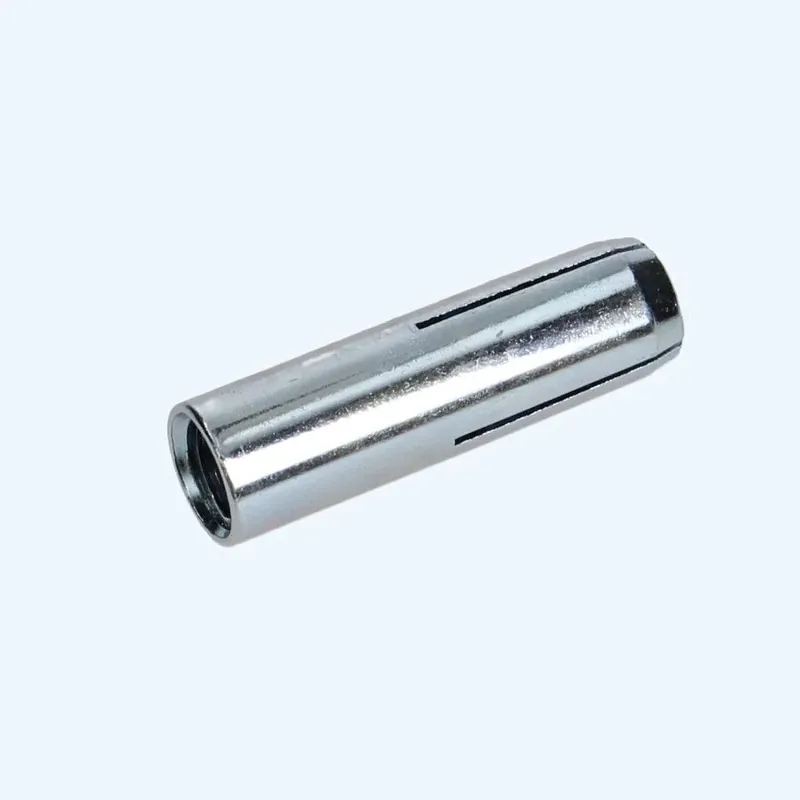 Op = Op 50 stuks Inslagankers M12
