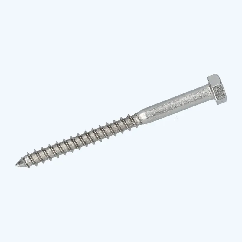 25 stuks houtdraadbout 10 x 110 mm RVS A2 Gratis Retour