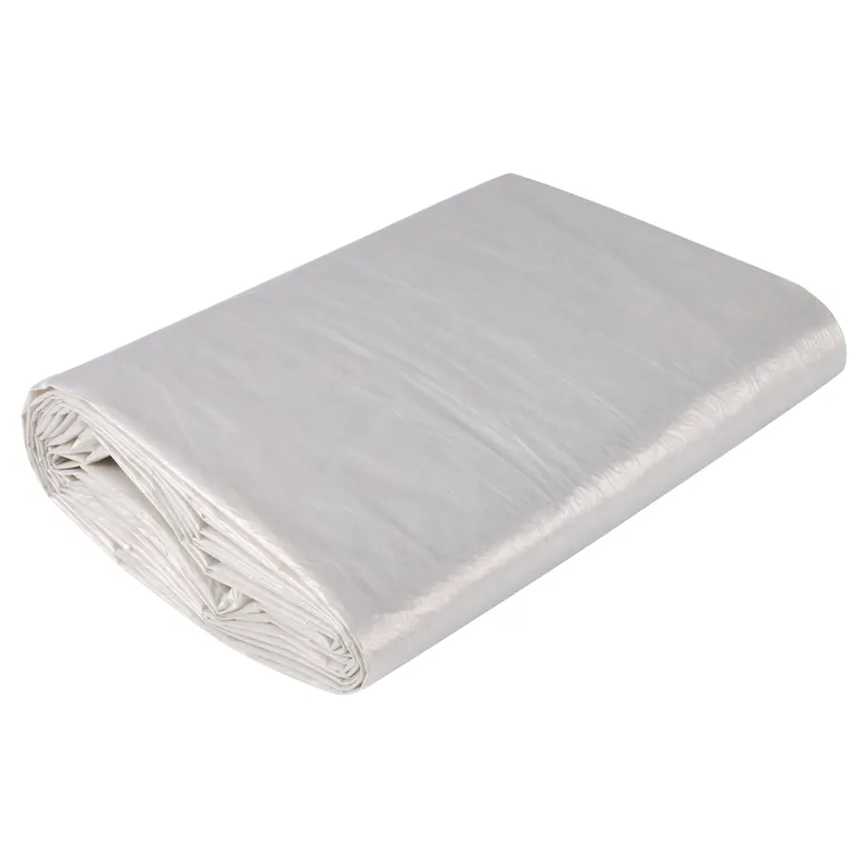 Veilige Betaling Copenhagen Pro Afdekzeil LDPE 24MU - 4 x 4m (Transparant)