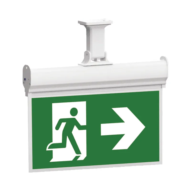 Lage Prijs Braytron LED Nooduitgangsbord Opbouw - IP20 - 2W