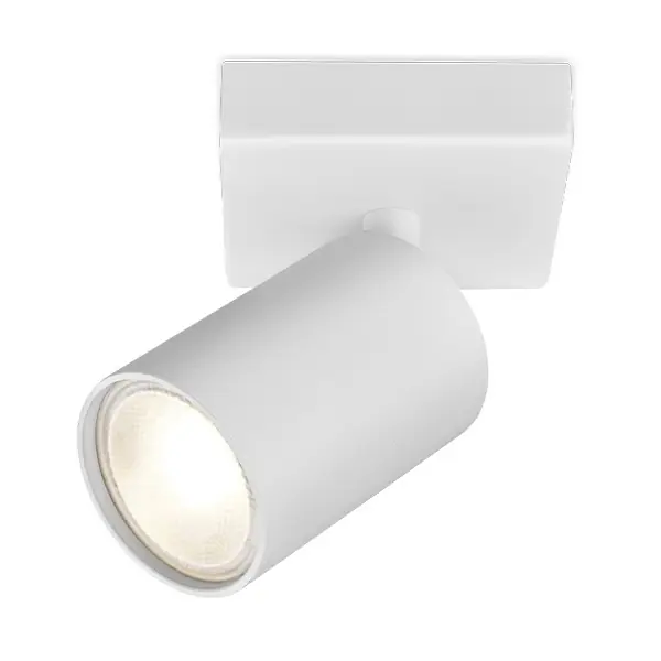 Nieuw Braytron Beta LED Spotlamp Opbouw - IP20 - 1xGU10 - Rond Ø55mm - Wit