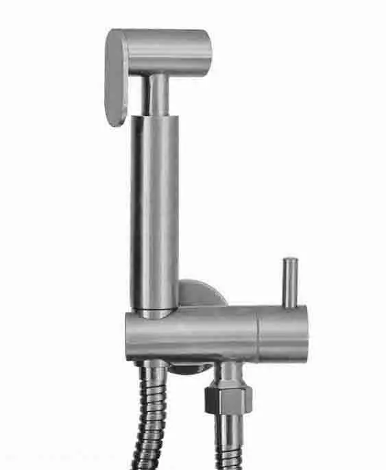 Koop Vandaag Wiesbaden Caral Bidet Handdoucheset: Handdouche, Opsteekgarnituur met Bediening & Doucheslang - Geborsteld RVS