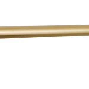 Wiesbaden Caral Douchearm met Muurbevestiging - 45cm - Geborsteld Messing Speciale Aanbieding