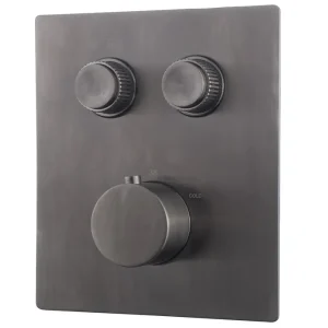 Op = Op Wiesbaden Caral Klik Pro Inbouw Thermostaatkraan met 2-Weg Omstel - Afbouwdeel - Geborsteld Gunmetal