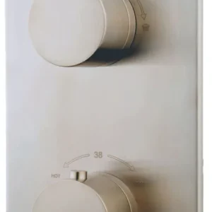 Wiesbaden Caral Thermostatische Inbouw Douchekraan met 2-Weg Omstel - Afbouwdeel - Geborsteld RVS Koopje
