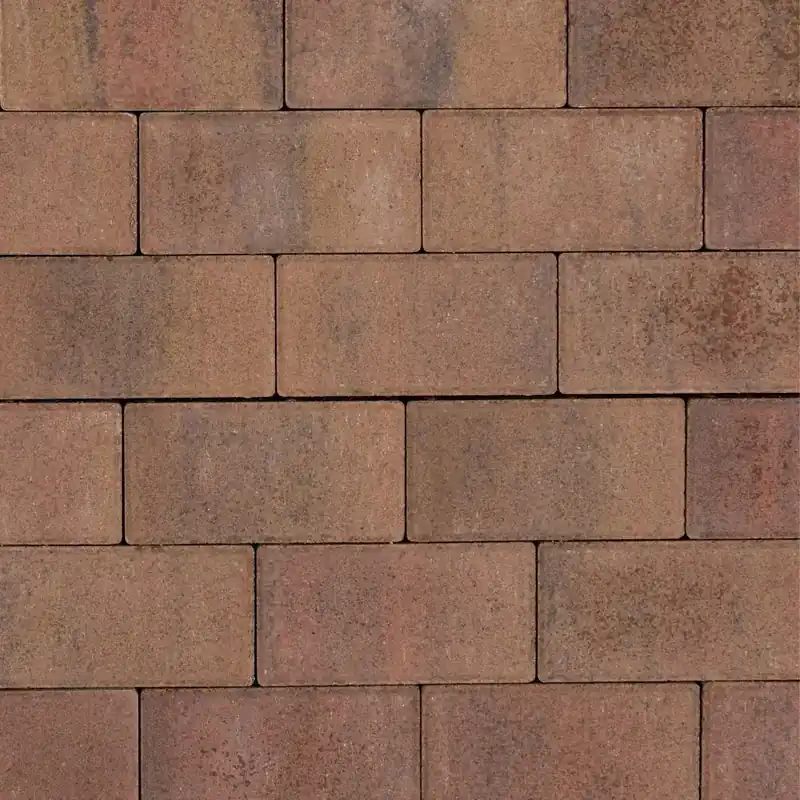Tremico BKK Oud-Bont 7 cm Laatste Versie