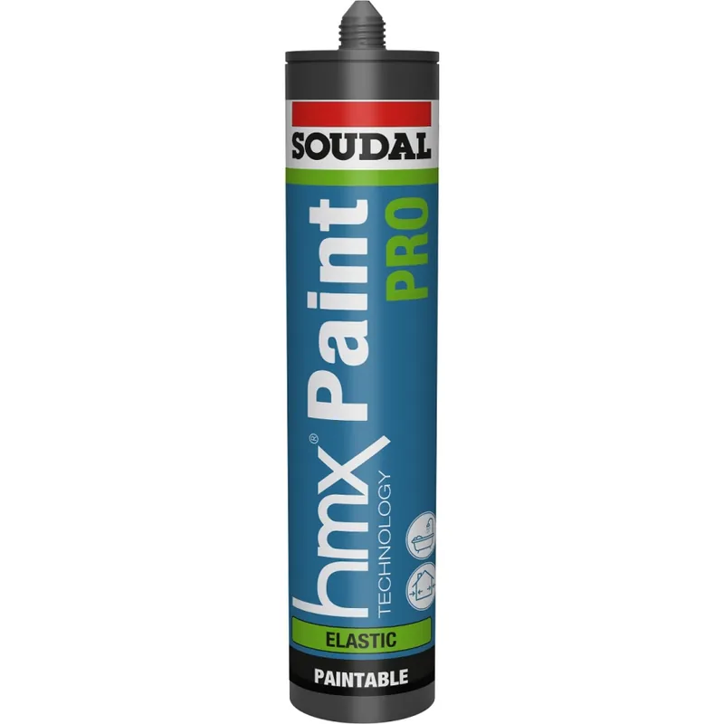 Soudal HMX Paint Pro 300ml Finale Uitverkoop