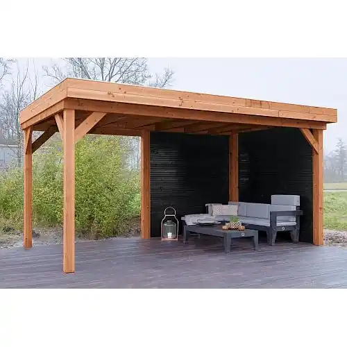 Lage Prijs Overkapping Douglas premium geschaafd 400x500 cm 135156