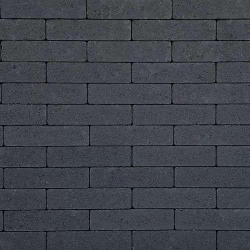 Speciale Aanbieding Strak waalformaat 20x5x6 cm antraciet