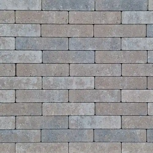 Seizoensaanbieding Strak waalformaat 20x5x6 cm oud drachten