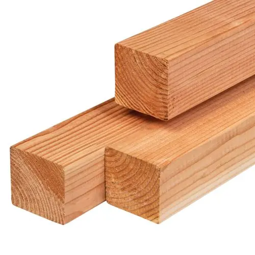 Betrouwbaar Tuinpaal douglas geschaafd 11x11x500 cm