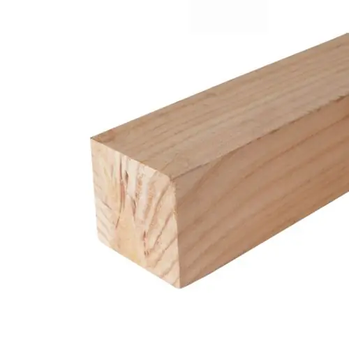 Gecertificeerd Tuinpaal douglas ongeschaafd 10x10x300 cm 103105