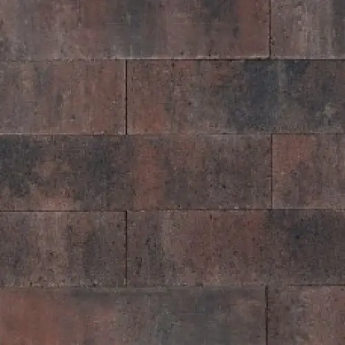 Linea palissade strak 10x10x60 cm tricolore Direct Beschikbaar